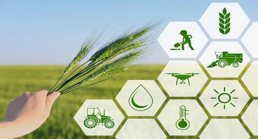 Centre For Agriculture Development